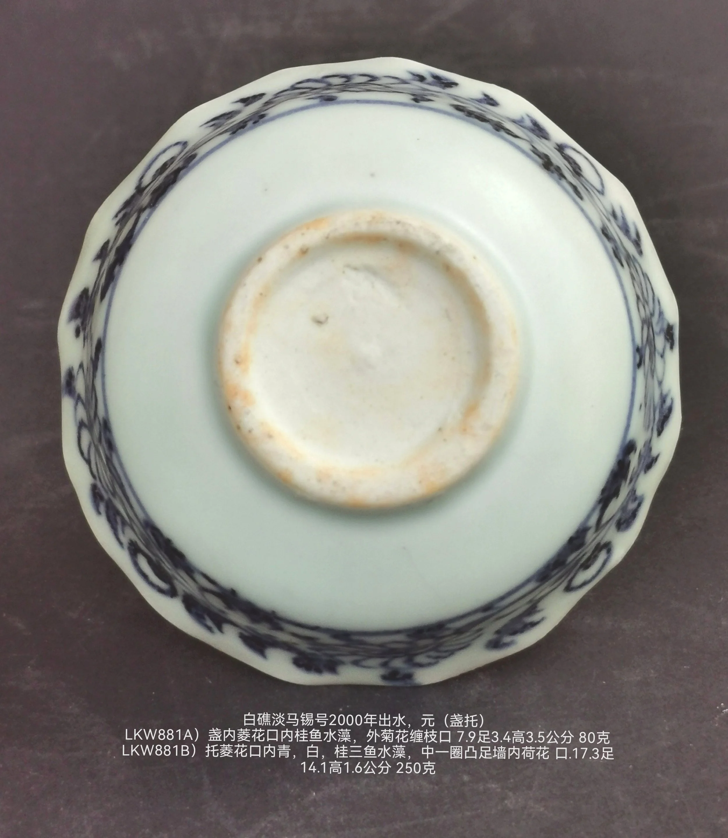 元青花Yuan Blue & White — 林朝华盆景古董海上丝绸之路Lim Keow Wah